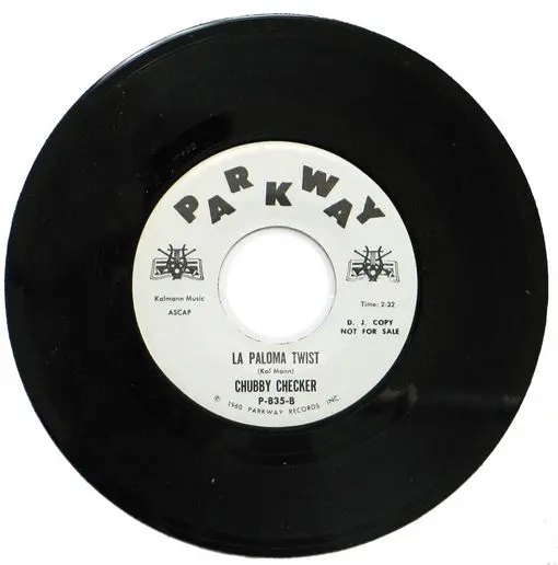 A black and white picture of a single record.